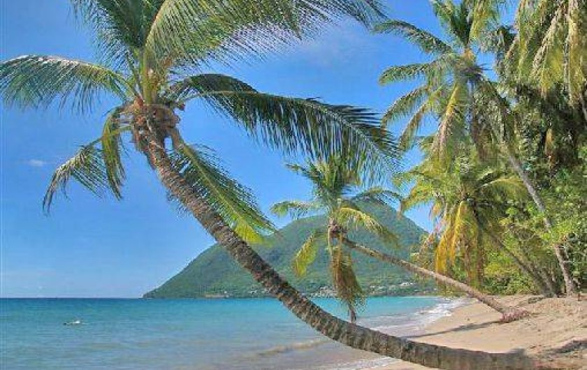 Location de vacances - Villa à Le Diamant