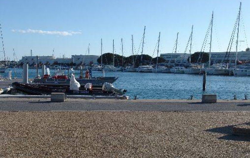 Location de vacances - Appartement à Le Grau-du-Roi