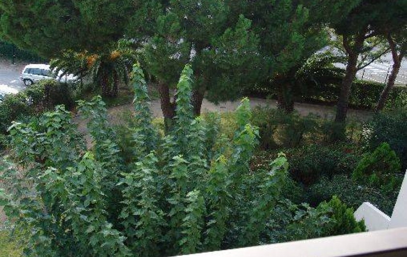 Location de vacances - Appartement à Le Grau-du-Roi