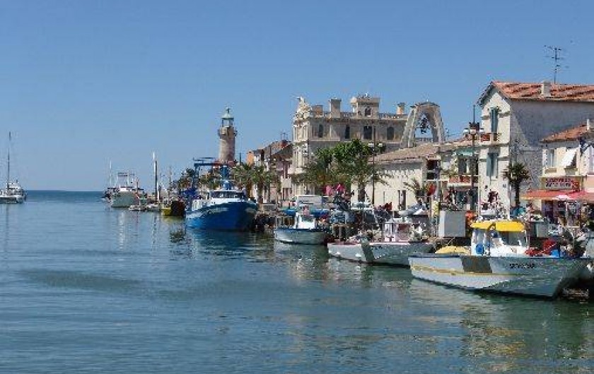 Location de vacances - Appartement à Le Grau-du-Roi