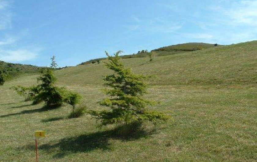 Location de vacances - Gîte à Laurac