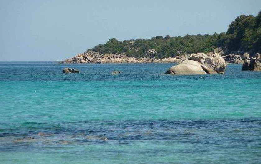 Location de vacances - Villa à Bonifacio