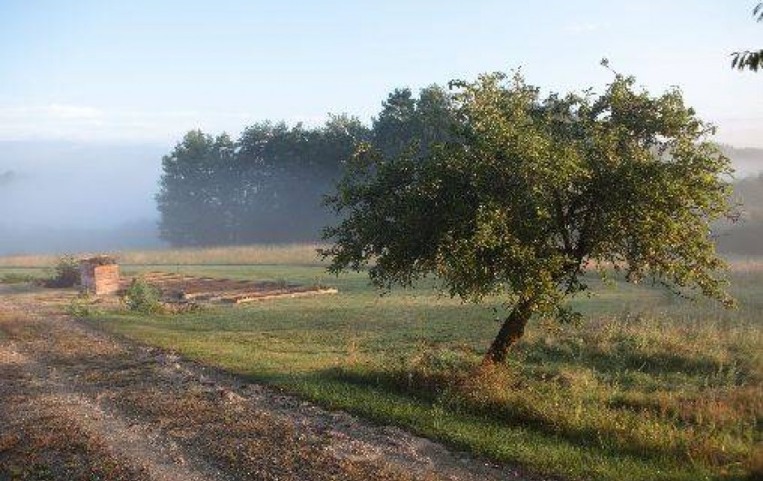 Location de vacances - Gîte à Saint-Amand-de-Coly - le potager et un coin du verger, accessibles aux vacanciers