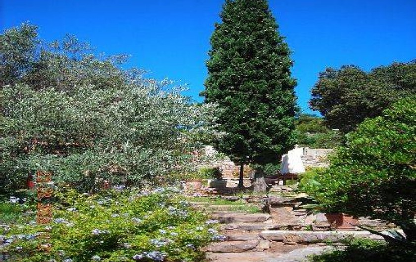 Location de vacances - Maison - Villa à Sète