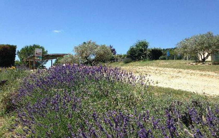 Location de vacances - Camping à Villelaure