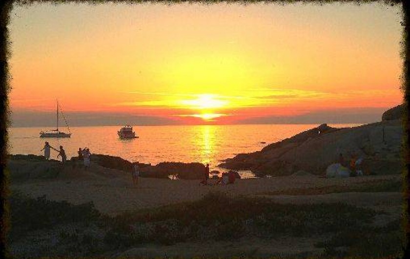 Location de vacances - Appartement à Lumio