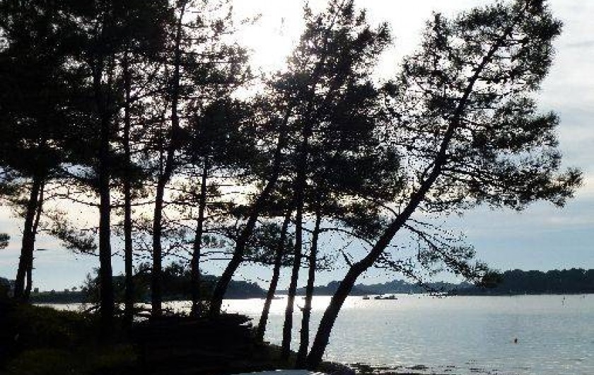 Location de vacances - Villa à Baden