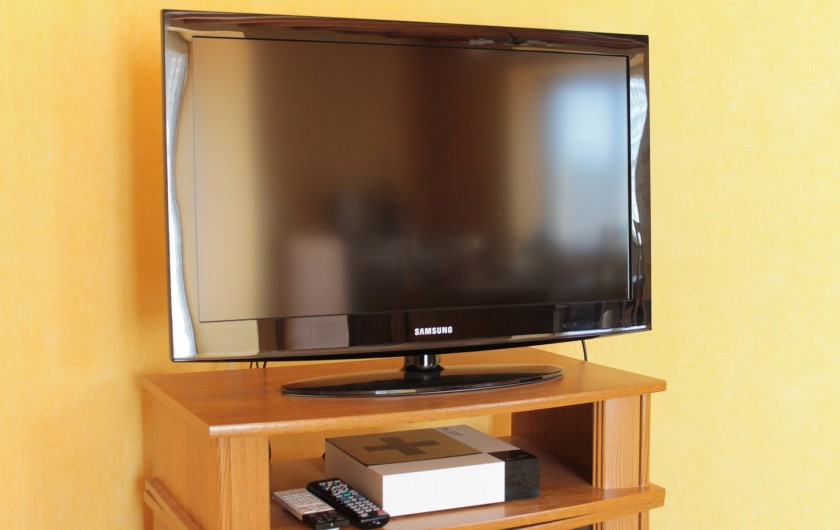 Location de vacances - Gîte à Peyrouse - Télévision