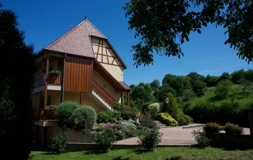 Location de vacances - Appartement à Andlau