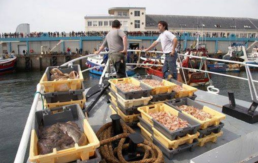 Location de vacances - Villa à Guilvinec