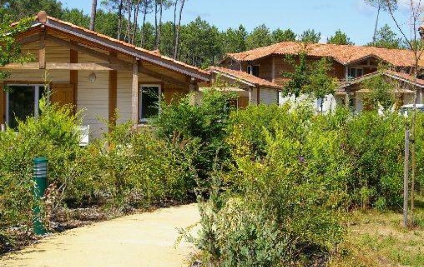 Location de vacances - Appartement à Parentis-en-Born