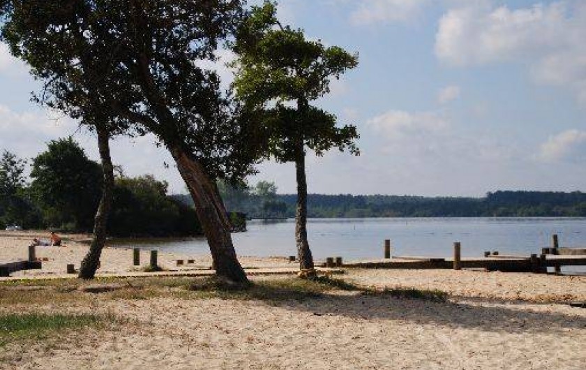 Location de vacances - Appartement à Parentis-en-Born