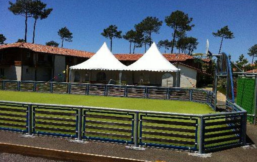 Location de vacances - Appartement à Parentis-en-Born