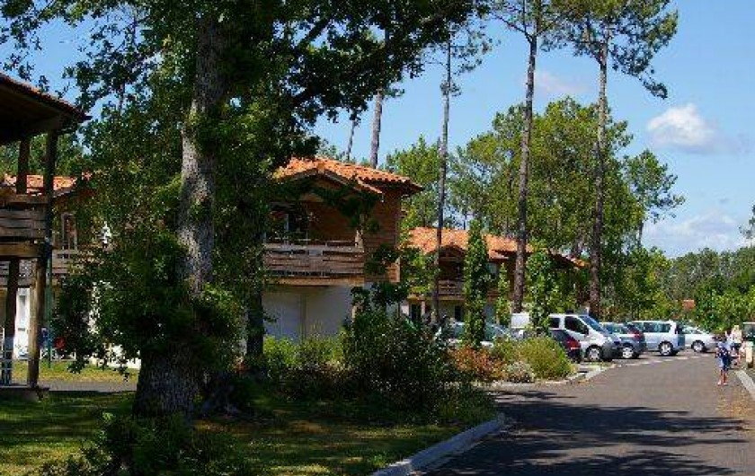 Location de vacances - Appartement à Parentis-en-Born