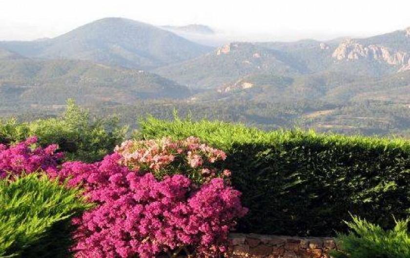 Location de vacances - Appartement à Mandelieu-la-Napoule