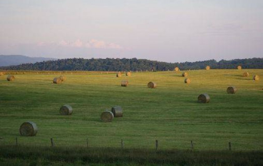 Location de vacances - Chambre d'hôtes à Marigny