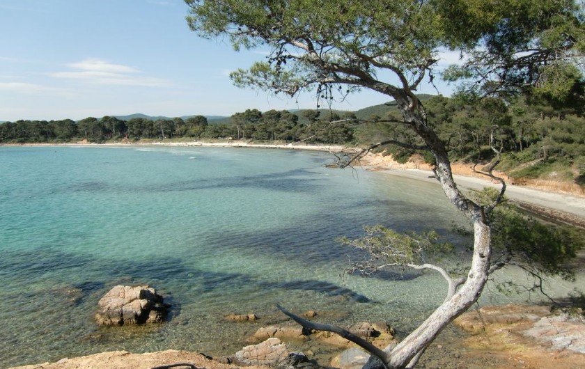 Location de vacances - Appartement à La Londe-les-Maures