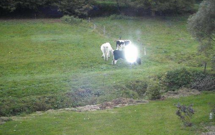 Location de vacances - Maison - Villa à Fraize