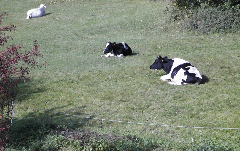 Location de vacances - Maison - Villa à Fraize