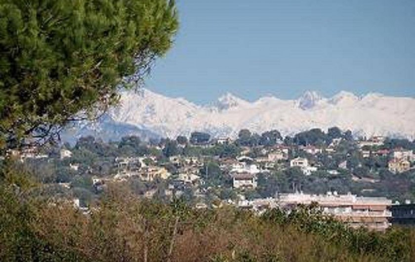 Location de vacances - Studio à Villeneuve-Loubet