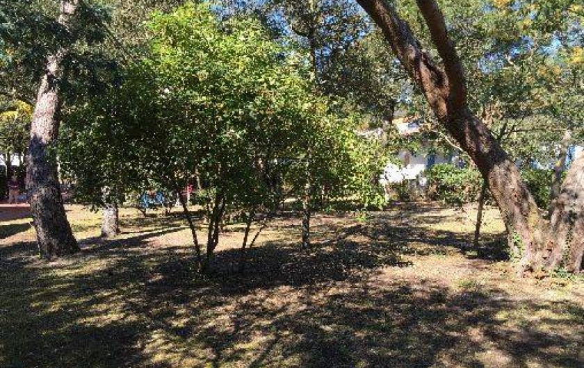 Location de vacances - Maison - Villa à Arcachon