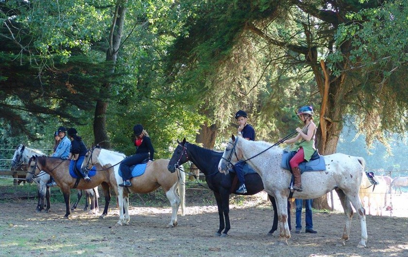 Location de vacances - Bungalow - Mobilhome à Saint-Hilaire-de-Riez - balade chevaux