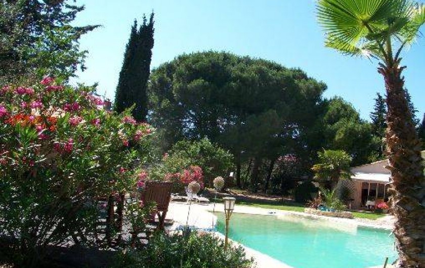 Location de vacances - Villa à Lavérune - La piscine et l'environnement arboré et fleuri