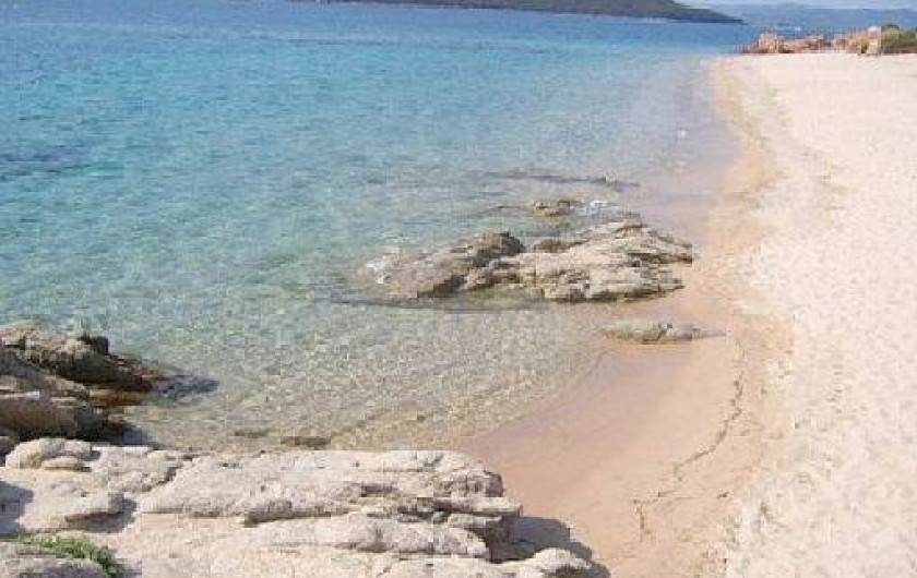 Location de vacances - Appartement à Porto-Vecchio