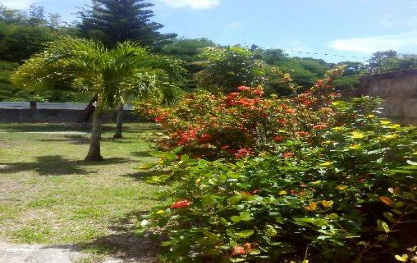 Location de vacances - Appartement à Sainte-Anne