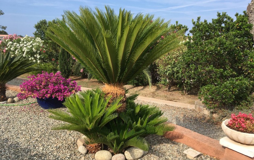 Location de vacances - Villa à Solaro