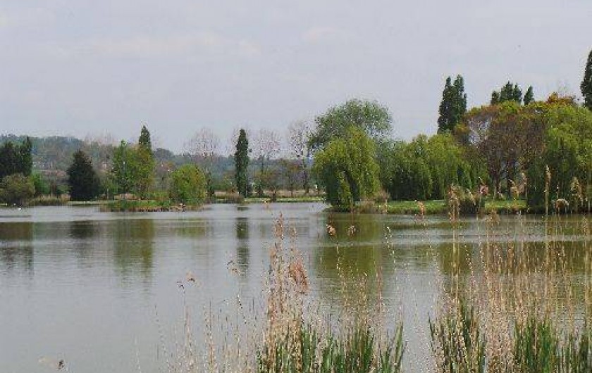 Location de vacances - Bungalow - Mobilhome à Deauville