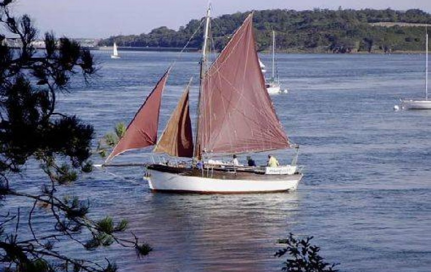 Location de vacances - Gîte à Saint-Malo - la rance à 200 metres de votre location