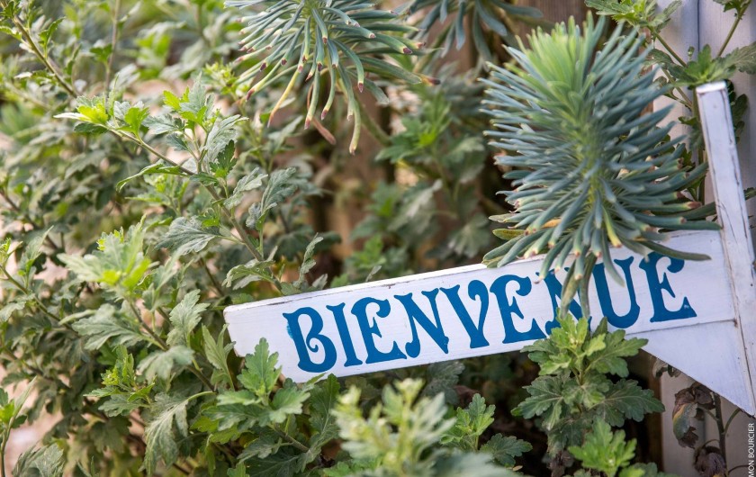 Location de vacances - Gîte à Saint-Malo - nous habitons tout à coté de nos gites afin de mieux vous recevoir