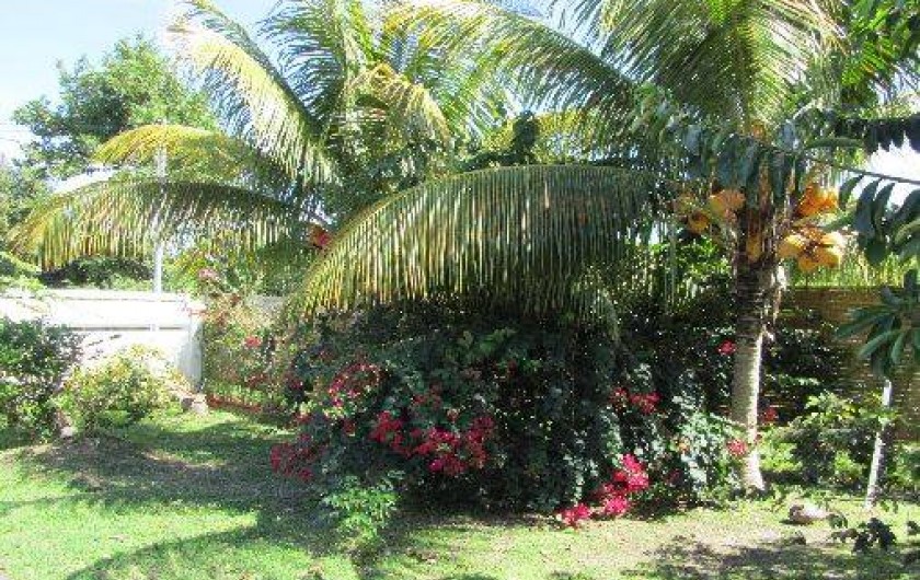 Location de vacances - Bungalow - Mobilhome à Le Moule