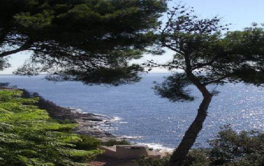 Location de vacances - Appartement à Carqueiranne