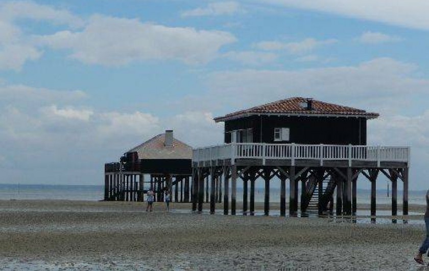 Location de vacances - Gîte à Pyla sur Mer