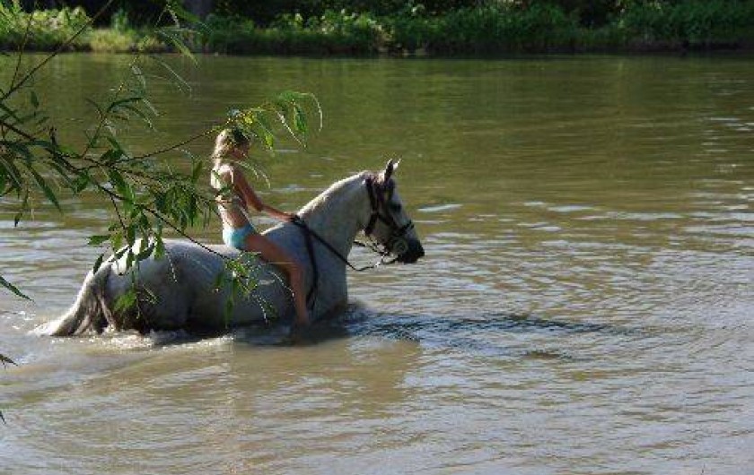 Location de vacances - Gîte à Pierrefitte-sur-Sauldre