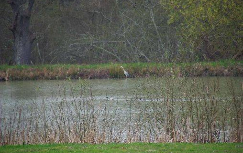 Location de vacances - Gîte à Pierrefitte-sur-Sauldre