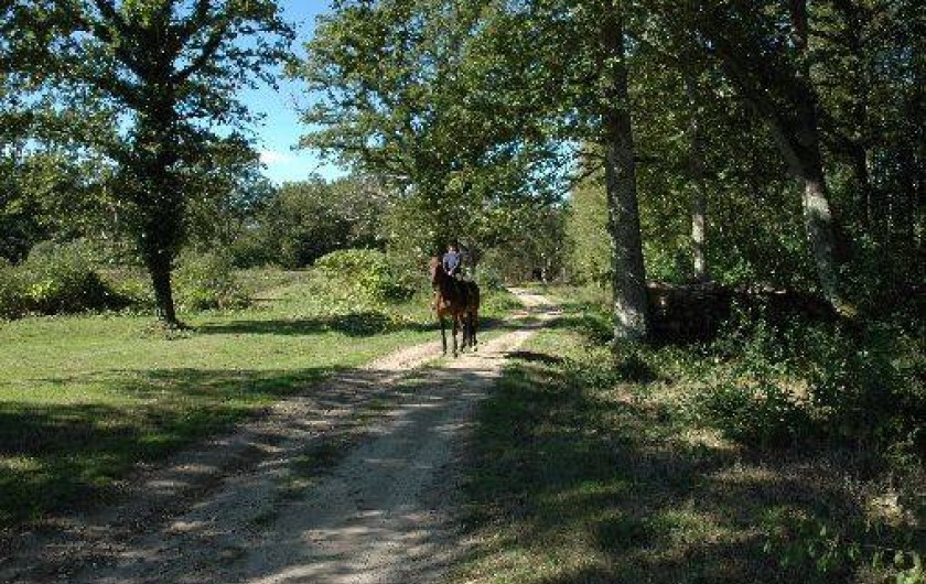 Location de vacances - Gîte à Pierrefitte-sur-Sauldre
