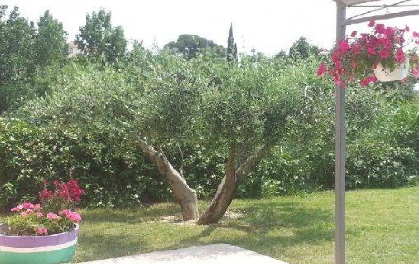 Location de vacances - Villa à Autignac