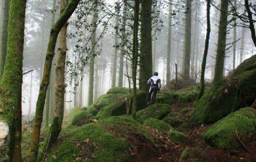 Location de vacances - Chalet à Châtelus-le-Marcheix