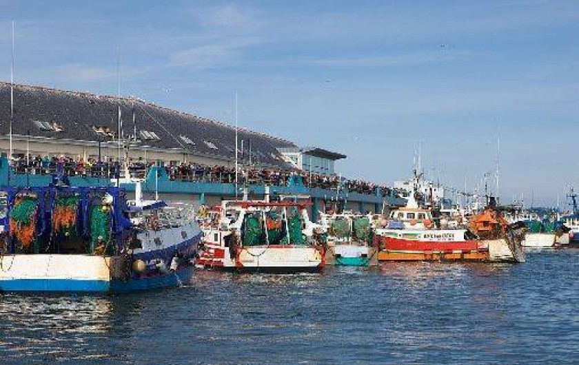 Location de vacances - Maison - Villa à Guilvinec