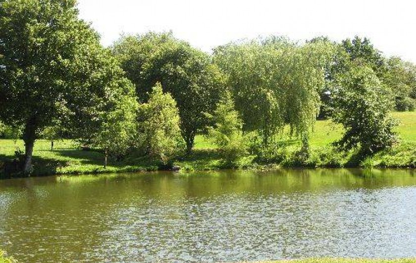 Location de vacances - Chambre d'hôtes à Nueil-les-Aubiers