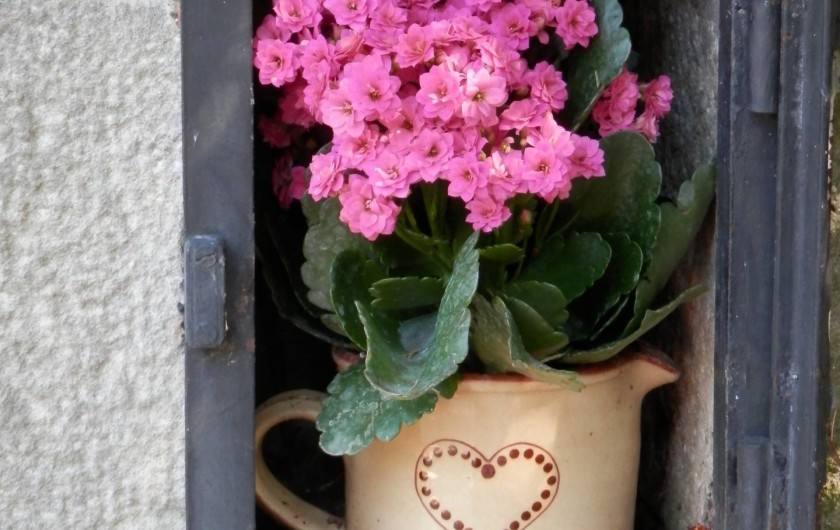 Location de vacances - Chambre d'hôtes à Faycelles - ...et revenir