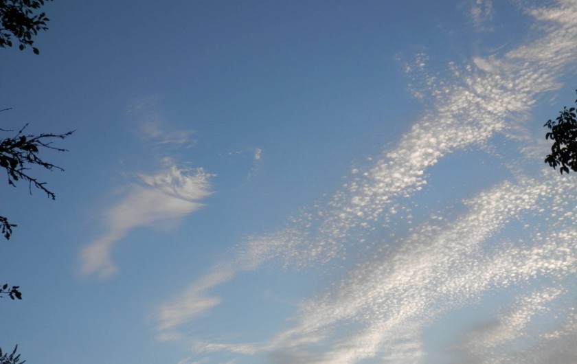 Location de vacances - Chambre d'hôtes à Faycelles - Observer le ciel,