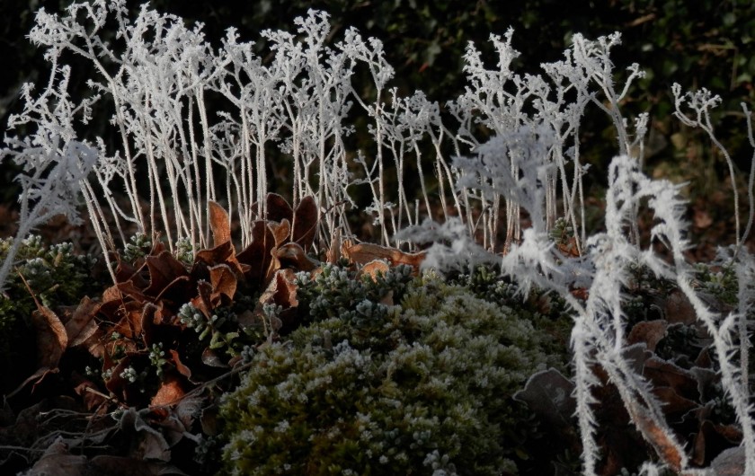 Location de vacances - Chambre d'hôtes à Faycelles - ou profiter du "hors-saison"...