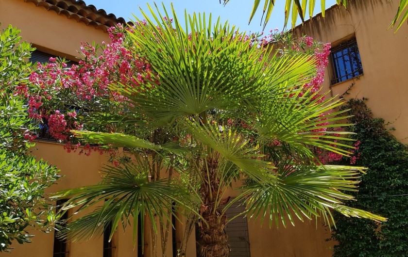 Location de vacances - Villa à Saint-Cannat