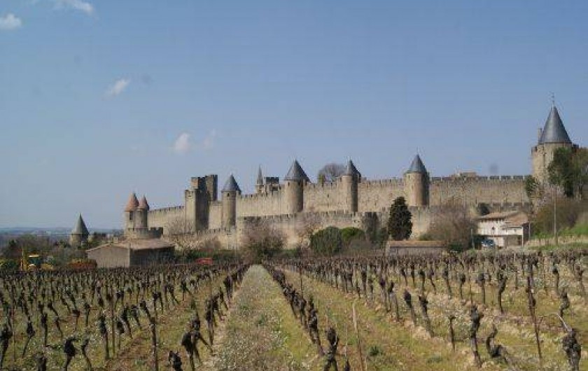Location de vacances - Maison - Villa à Ferrals-les-Corbières