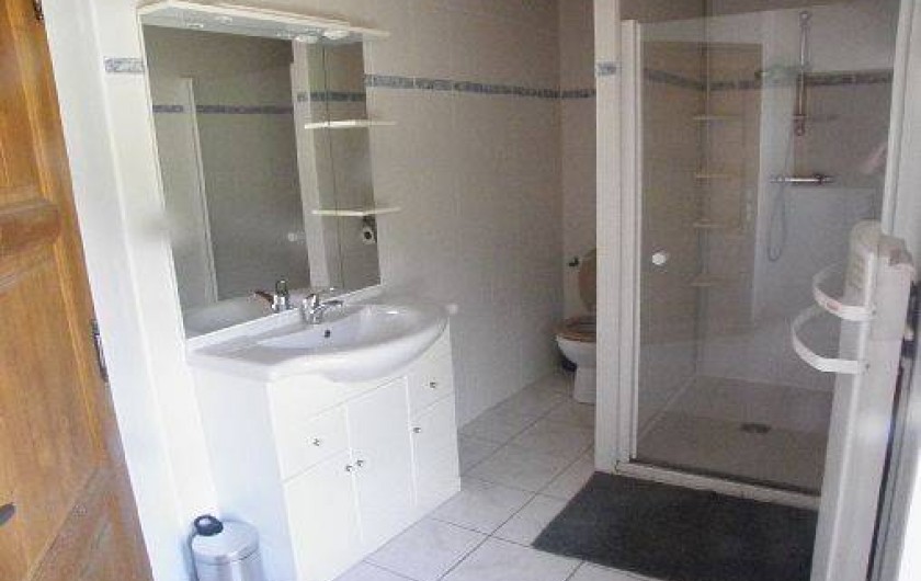 Location de vacances - Gîte à Castelnau-de-Montmiral