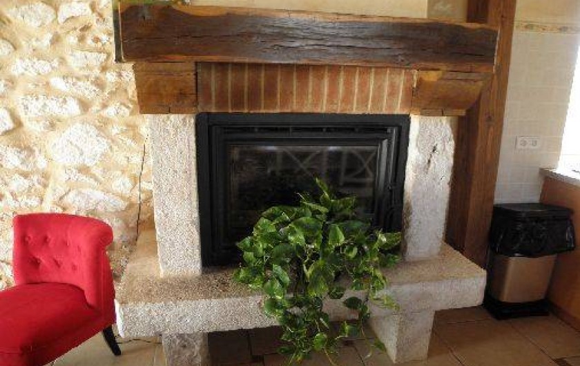 Location de vacances - Gîte à Castelnau-de-Montmiral